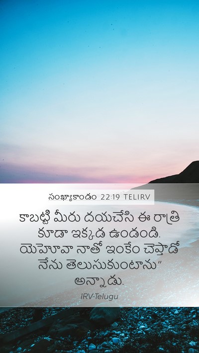 సంఖ్యాకాండం 22:19 TELIRV Bible Verse Image