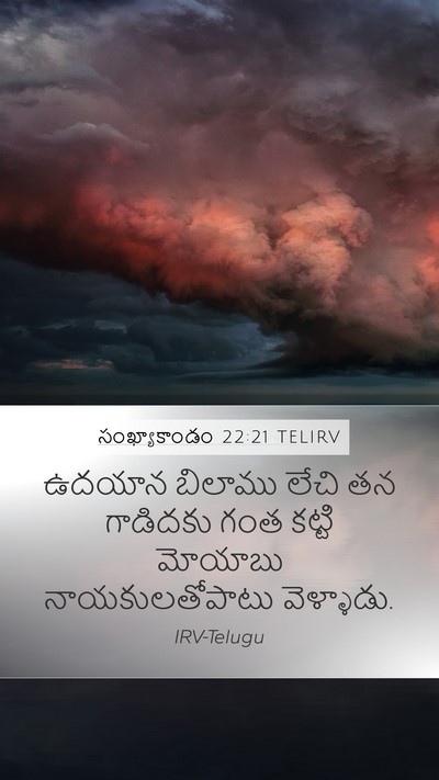 సంఖ్యాకాండం 22:21 TELIRV Bible Verse Image