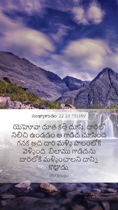 సంఖ్యాకాండం 22:23 TELIRV Bible Verse Image