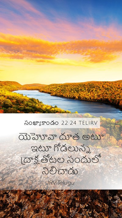 సంఖ్యాకాండం 22:24 TELIRV Mobile Phone Wallpaper - యెహోవా దూత అటూ ఇటూ - Mobile Bible Verse Wallpaper