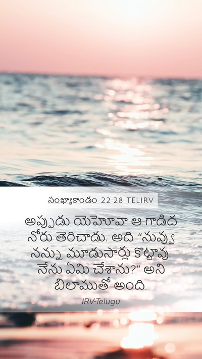 సంఖ్యాకాండం 22:28 TELIRV Bible Verse Image