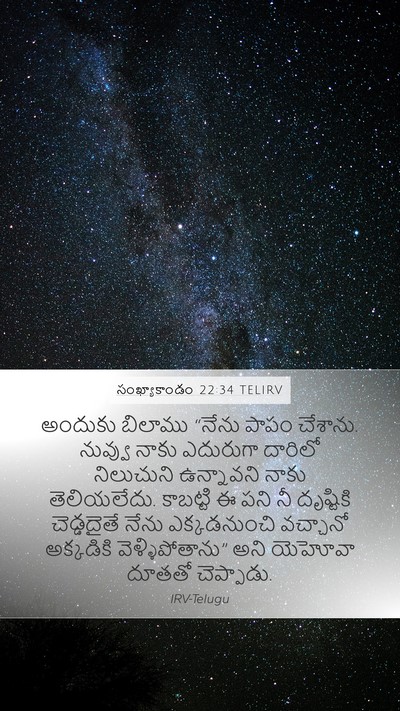 సంఖ్యాకాండం 22:34 TELIRV Bible Verse Image