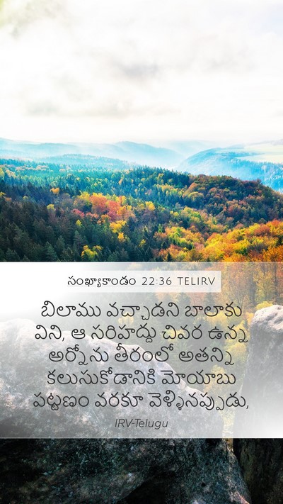 సంఖ్యాకాండం 22:36 TELIRV Bible Verse Image