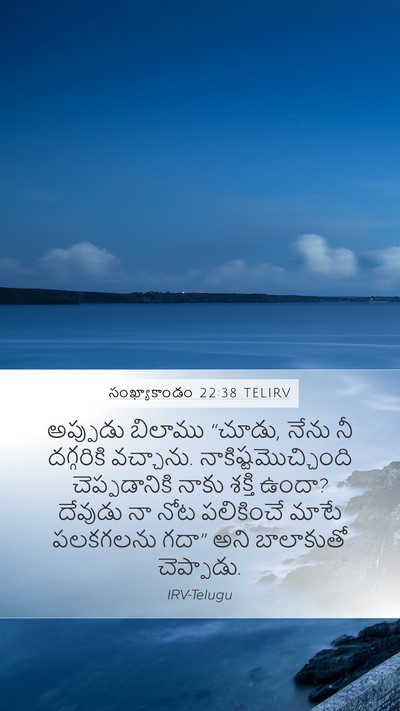 సంఖ్యాకాండం 22:38 TELIRV Bible Verse Image