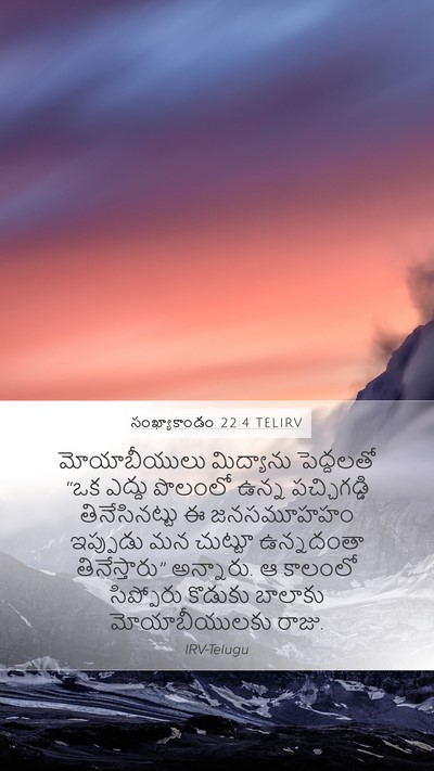 సంఖ్యాకాండం 22:4 TELIRV Mobile Phone Wallpaper - మోయాబీయులు - Mobile Bible Verse Wallpaper