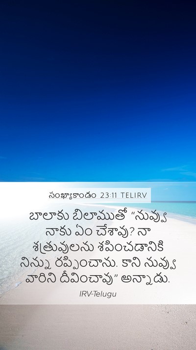 సంఖ్యాకాండం 23:11 TELIRV Bible Verse Image
