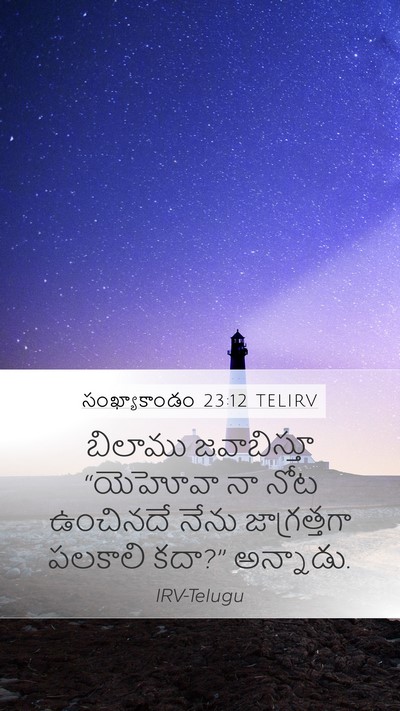 సంఖ్యాకాండం 23:12 TELIRV Bible Verse Image