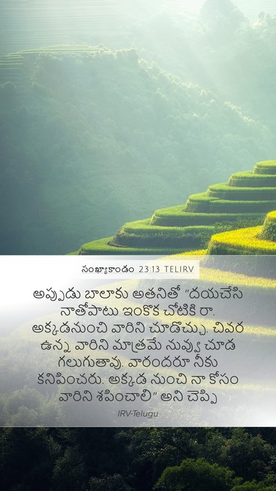 సంఖ్యాకాండం 23:13 TELIRV Bible Verse Image