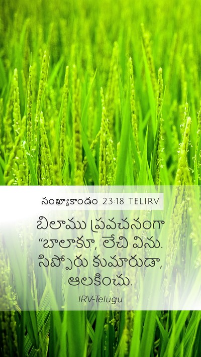 సంఖ్యాకాండం 23:18 TELIRV Bible Verse Image