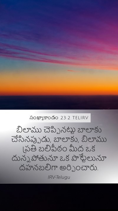 సంఖ్యాకాండం 23:2 TELIRV Mobile Phone Wallpaper - బిలాము - Mobile Bible Verse Wallpaper