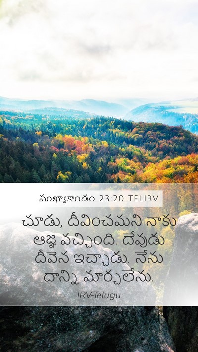 సంఖ్యాకాండం 23:20 TELIRV Bible Verse Image