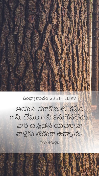సంఖ్యాకాండం 23:21 TELIRV Bible Verse Image