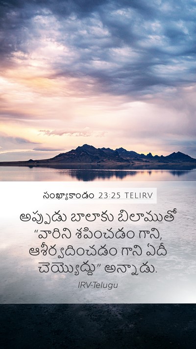 సంఖ్యాకాండం 23:25 TELIRV Mobile Phone Wallpaper - అప్పుడు బాలాకు - Mobile Bible Verse Wallpaper
