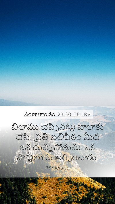సంఖ్యాకాండం 23:30 TELIRV Bible Verse Image