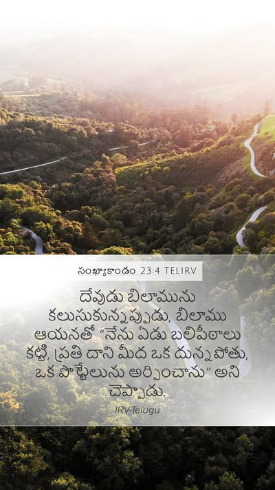 సంఖ్యాకాండం 23:4 TELIRV Mobile Phone Wallpaper - దేవుడు బిలామును - Mobile Bible Verse Wallpaper