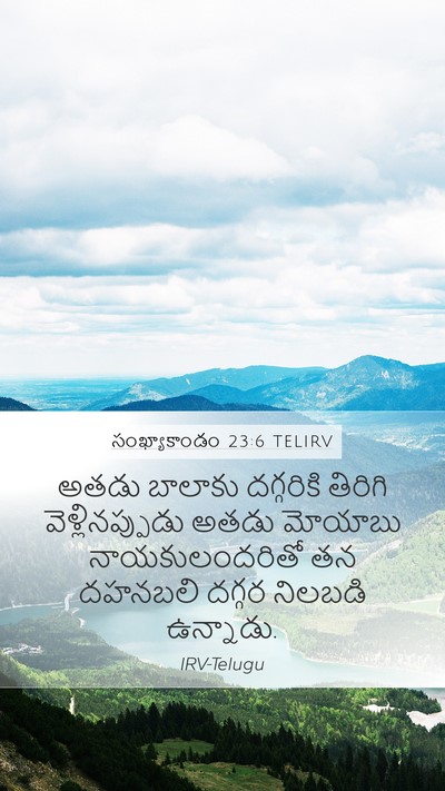 సంఖ్యాకాండం 23:6 TELIRV Bible Verse Image