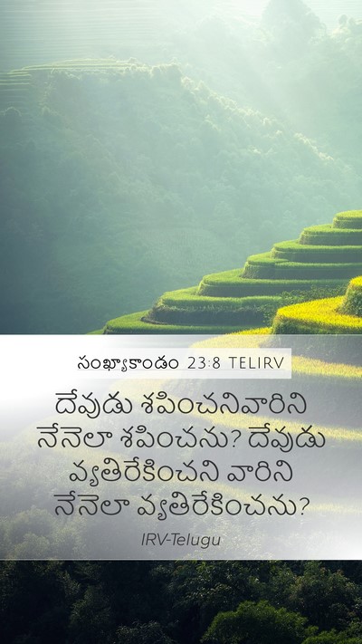 సంఖ్యాకాండం 23:8 TELIRV Mobile Phone Wallpaper - దేవుడు - Mobile Bible Verse Wallpaper