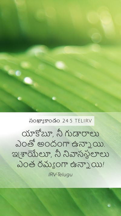 సంఖ్యాకాండం 24:5 TELIRV Mobile Phone Wallpaper - యాకోబూ, నీ - Mobile Bible Verse Wallpaper