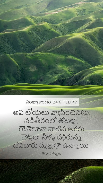 సంఖ్యాకాండం 24:6 TELIRV Bible Verse Image