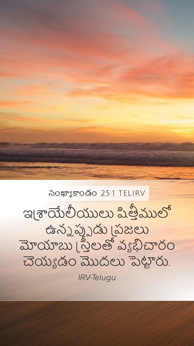 సంఖ్యాకాండం 25:1 TELIRV Bible Verse Image