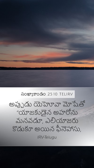 సంఖ్యాకాండం 25:10 TELIRV Mobile Phone Wallpaper - అప్పుడు యెహోవా - Mobile Bible Verse Wallpaper