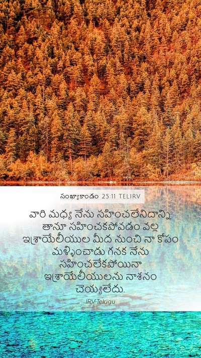 సంఖ్యాకాండం 25:11 TELIRV Bible Verse Image