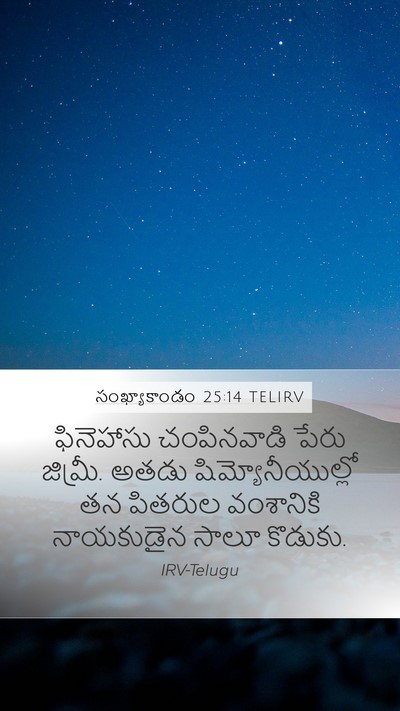 సంఖ్యాకాండం 25:14 TELIRV Bible Verse Image