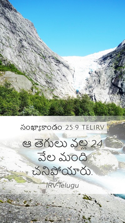 సంఖ్యాకాండం 25:9 TELIRV Bible Verse Image