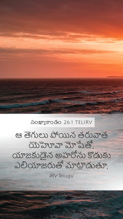 సంఖ్యాకాండం 26:1 TELIRV Mobile Phone Wallpaper - ఆ తెగులు పోయిన - Mobile Bible Verse Wallpaper