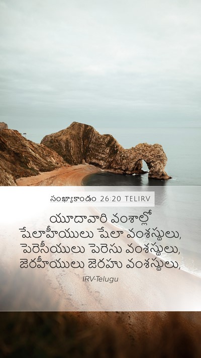 సంఖ్యాకాండం 26:20 TELIRV Bible Verse Image
