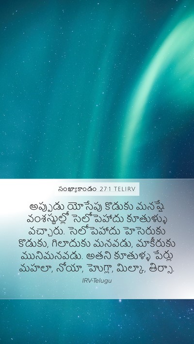 సంఖ్యాకాండం 27:1 TELIRV Bible Verse Image