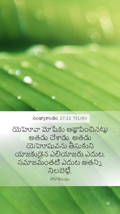 సంఖ్యాకాండం 27:22 TELIRV Mobile Phone Wallpaper - యెహోవా మోషేకు - Mobile Bible Verse Wallpaper