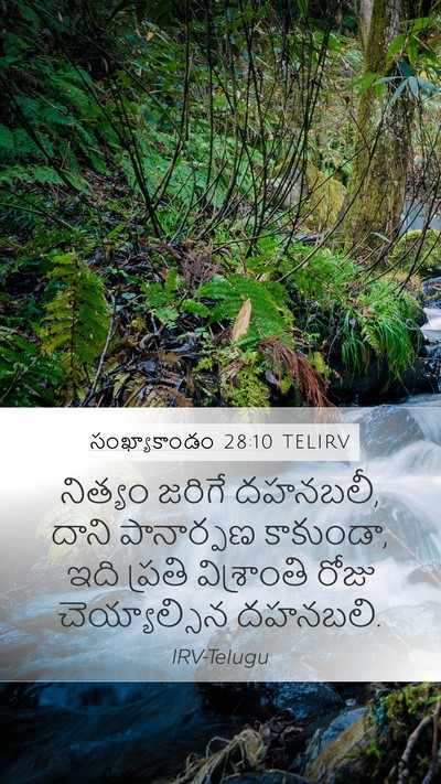 సంఖ్యాకాండం 28:10 TELIRV Mobile Phone Wallpaper - నిత్యం జరిగే - Mobile Bible Verse Wallpaper