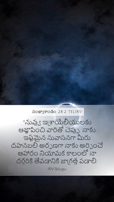సంఖ్యాకాండం 28:2 TELIRV Mobile Phone Wallpaper - “నువ్వు - Mobile Bible Verse Wallpaper
