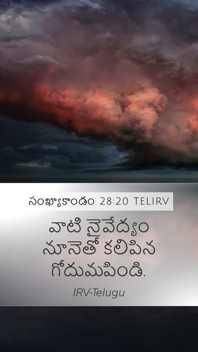 సంఖ్యాకాండం 28:20 TELIRV Mobile Phone Wallpaper - వాటి నైవేద్యం - Mobile Bible Verse Wallpaper