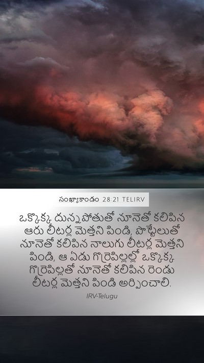 సంఖ్యాకాండం 28:21 TELIRV Mobile Phone Wallpaper - ఒక్కొక్క - Mobile Bible Verse Wallpaper