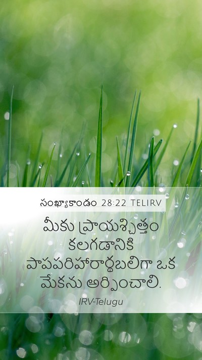 సంఖ్యాకాండం 28:22 TELIRV Mobile Phone Wallpaper - మీకు - Mobile Bible Verse Wallpaper