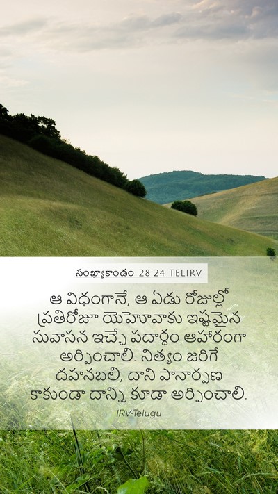 సంఖ్యాకాండం 28:24 TELIRV Mobile Phone Wallpaper - ఆ విధంగానే, ఆ ఏడు - Mobile Bible Verse Wallpaper