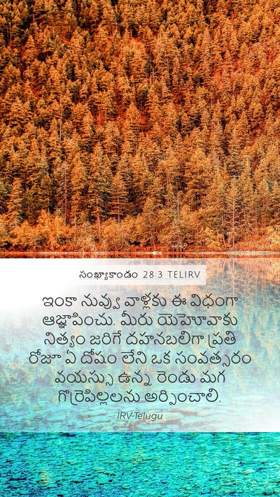 సంఖ్యాకాండం 28:3 TELIRV Bible Verse Image