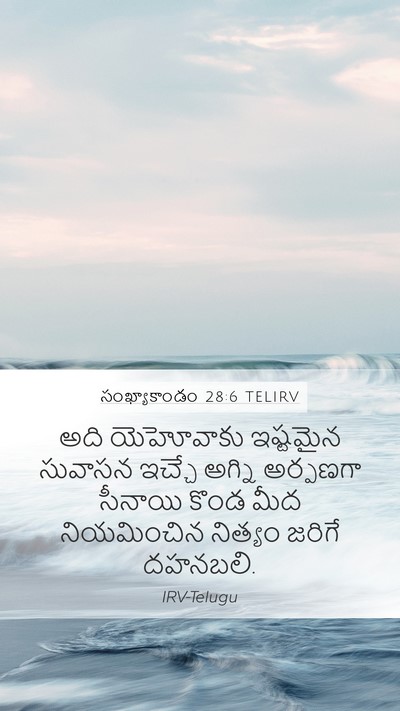సంఖ్యాకాండం 28:6 TELIRV Mobile Phone Wallpaper - అది యెహోవాకు - Mobile Bible Verse Wallpaper
