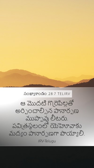 సంఖ్యాకాండం 28:7 TELIRV Bible Verse Image