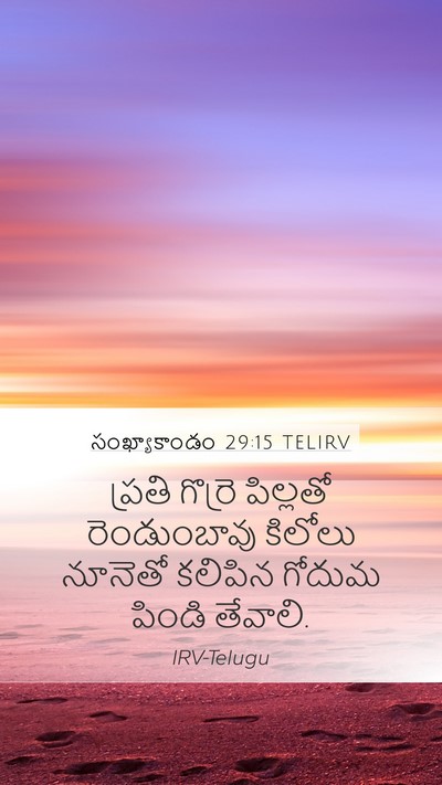 సంఖ్యాకాండం 29:15 TELIRV Mobile Phone Wallpaper - ప్రతి గొర్రె - Mobile Bible Verse Wallpaper