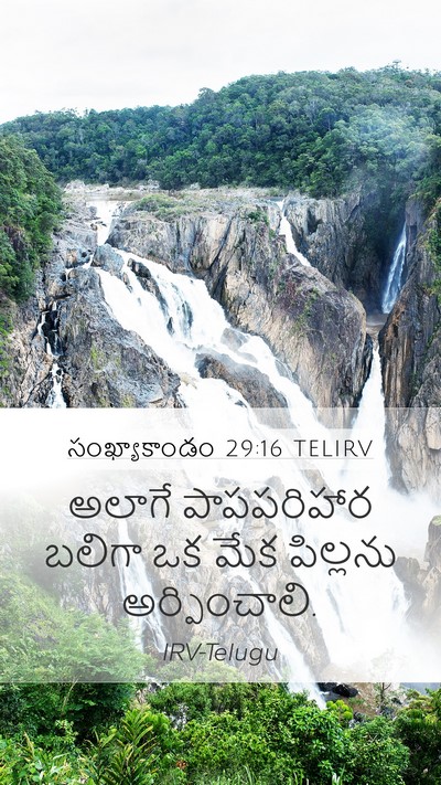 సంఖ్యాకాండం 29:16 TELIRV Bible Verse Image