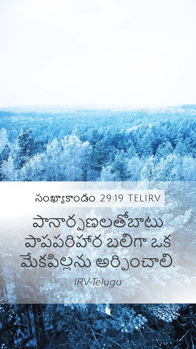 సంఖ్యాకాండం 29:19 TELIRV Bible Verse Image