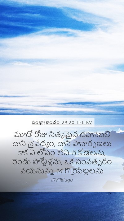 సంఖ్యాకాండం 29:20 TELIRV Bible Verse Image