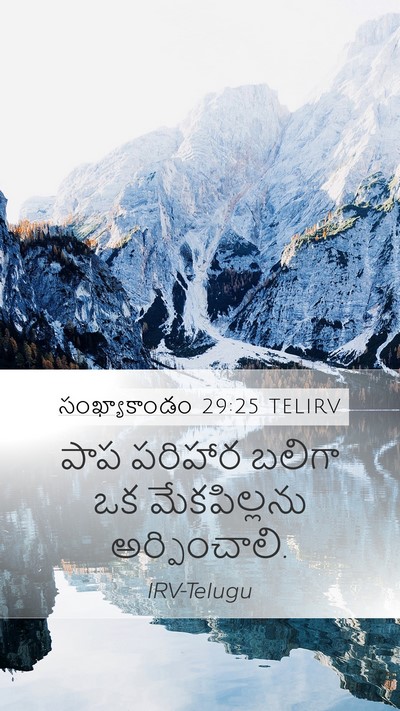 సంఖ్యాకాండం 29:25 TELIRV Bible Verse Image