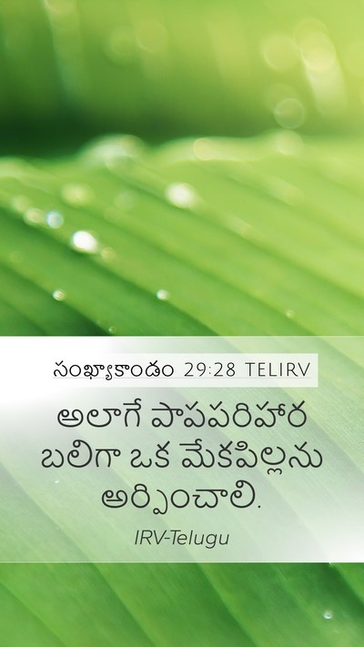 సంఖ్యాకాండం 29:28 TELIRV Mobile Phone Wallpaper - అలాగే పాపపరిహార - Mobile Bible Verse Wallpaper
