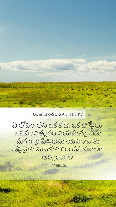 సంఖ్యాకాండం 29:3 TELIRV Mobile Phone Wallpaper - ఏ లోపం లేని ఒక - Mobile Bible Verse Wallpaper