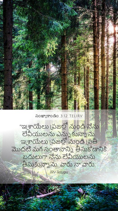 సంఖ్యాకాండం 3:12 TELIRV Mobile Phone Wallpaper - “ఇశ్రాయేలు - Mobile Bible Verse Wallpaper