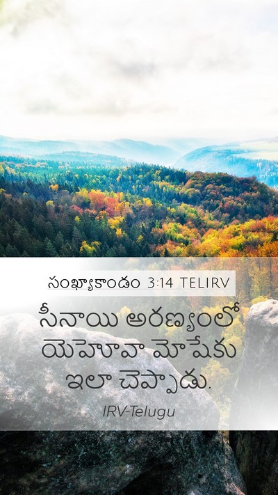 సంఖ్యాకాండం 3:14 TELIRV Mobile Phone Wallpaper - సీనాయి అరణ్యంలో - Mobile Bible Verse Wallpaper